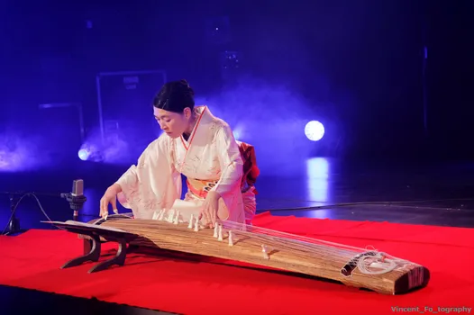 Copyright : Vincent Folliard